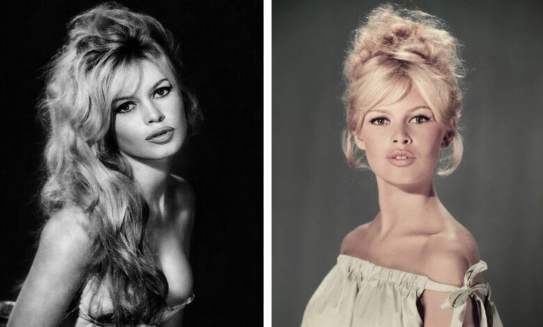 Brigitte Bardot