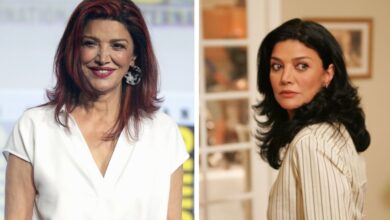 shohreh aghdashloo