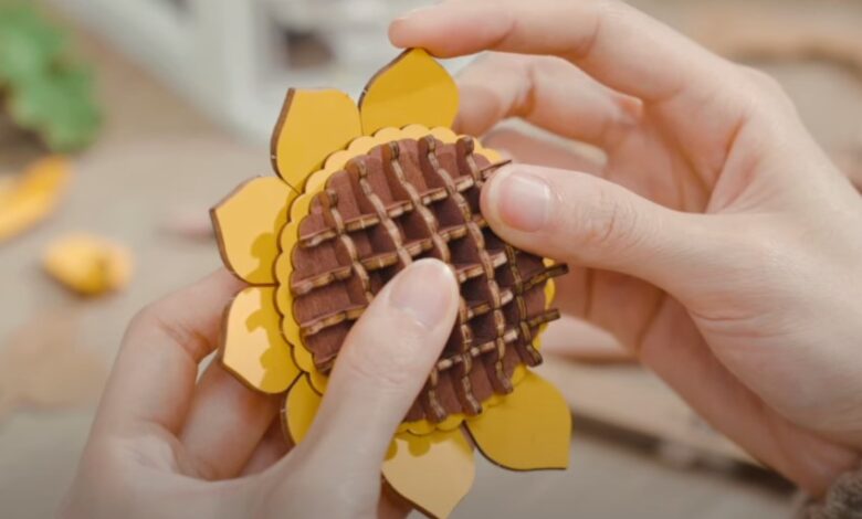 3D Houten Puzzels
