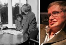 robert hawking