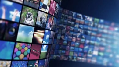 Digitale Platforms Online